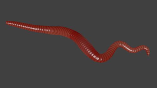 Worm (rigged) preview image
